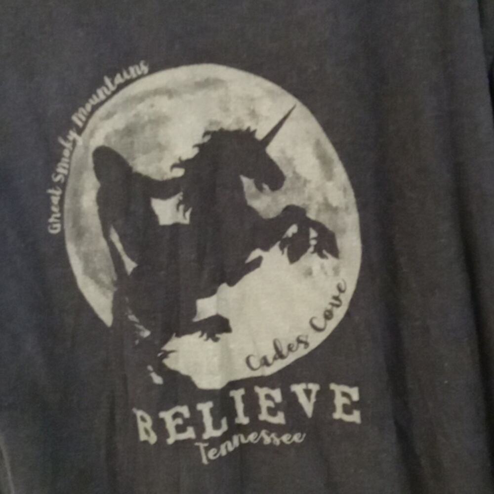 Great Smokey Mountains dark Grey t-shirt. 3X - Picture 3 of 6